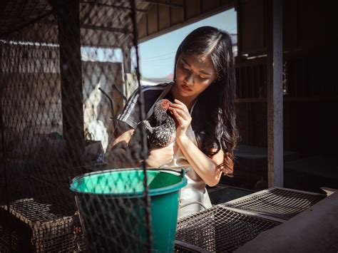 Gamefowl millionaire: Thai women find fortunes in .